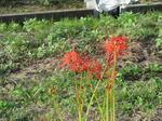 DSC00710.jpg