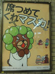DSC00802.jpg