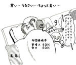 20120219.jpg
