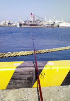 NEC_0174.JPG
