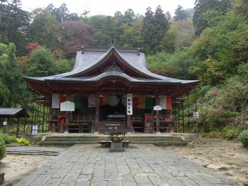 RIMG0253.JPG