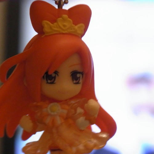saniki.JPG