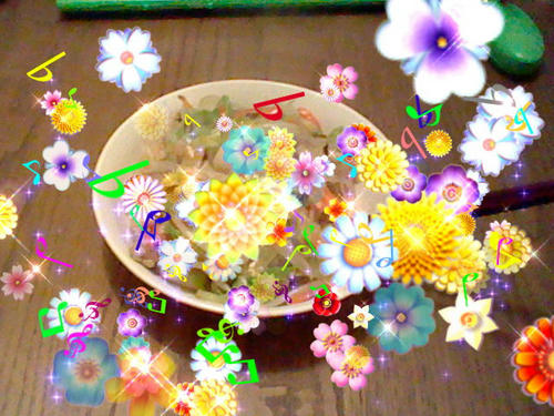 HNI_0018.JPG