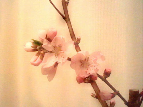 HNI_0053.JPG