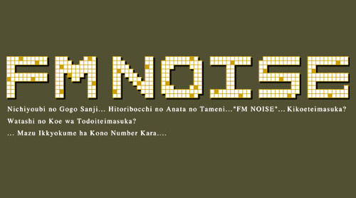 FM NOISE