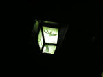 電灯