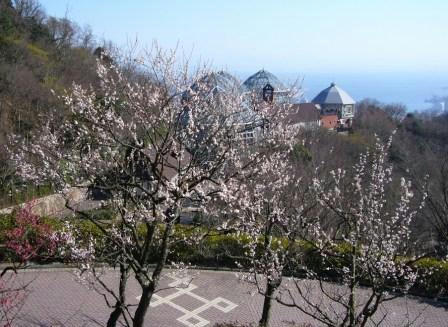 ハーブ園