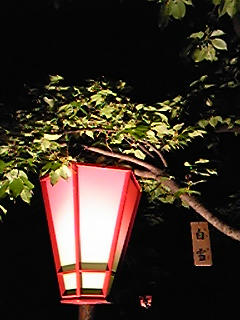 葉桜