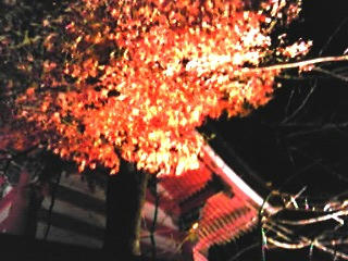 紅葉