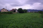 10385685_1232749787_199small.jpg