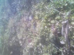 10385685_1511135786_38small.jpg