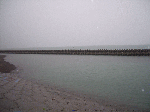 maruhi
