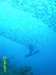 okinoshima