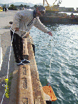 実験中