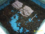 水産総合研究センター