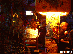 cabo san lucas
