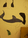 クジライルカ