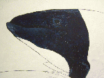 クジライルカ