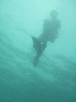 e4848b0a.gif
