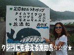 高知へ行こう