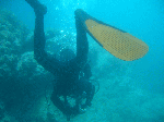30aa5bc2.gif
