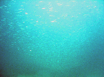 kasi1-7.gif