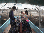 71e7fd46.gif