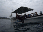 437992a3.gif