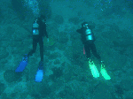 c6233d8b.gif