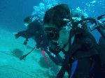 56d06878.gif