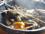 8272008-5.gif