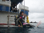 tatukusi1.gif