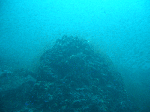 tatukusi6.gif
