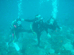 tatukusi12.gif