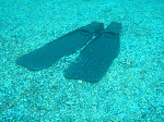 tatukusi15.gif