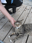 04e2997d.gif