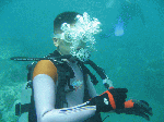 3ef14fe9.gif