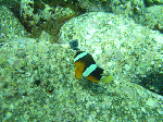a5af6313.gif