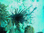 89b5f593.gif