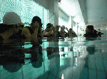 964d6182.gif