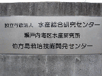 b46ee64c.gif
