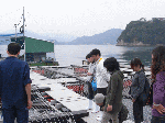 5693c533.gif