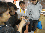 cd4b3d49.gif