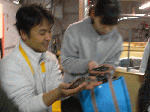 52513e67.gif