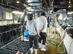 08c51055.gif