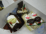 Xmas2008-11.gif