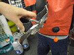 bcd20096.gif