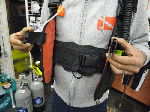 bcd20097.gif