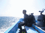asdtatukusi2.gif
