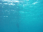 kasiwa3211.gif
